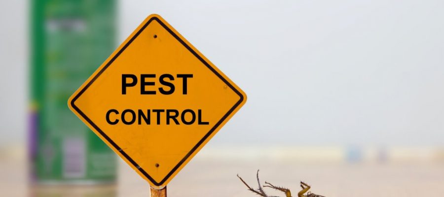 Stop Stinging Insects